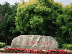 -杨柳青庄园