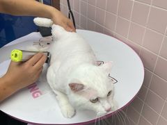 -FAELING PETS美天灵宠物(富力广场店)