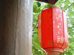 -同里国家湿地公园