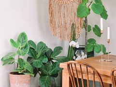 -AHAVA·Fang Baking Studio