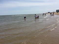 -北戴河圣蓝海洋公园