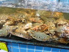-锦里海景海鲜餐厅.三亚老字号(亚龙湾中心广场店)