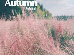 -艾溪湖湿地公园