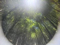 -敬亭山风景名胜区