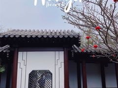 -信园