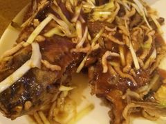 -鸿达渔港