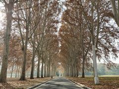 -河南省黄河迎宾馆