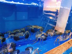-鲜味食族水产·海鲜餐厅