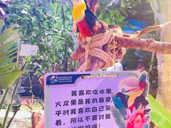 -正佳雨林生态植物园