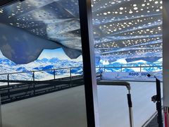 -Hopo Snow 城市滑雪空间(滨江宝龙城店)