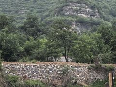-十渡高山漂流