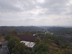 -中国西峡恐龙遗迹园