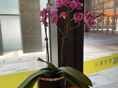 -苏州樊登书店·咖啡