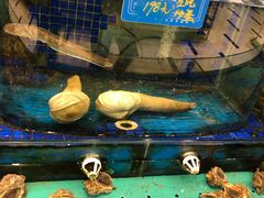 大堂-蓝港海鲜厨房(金水路店)