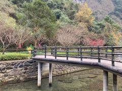 -宁波五龙潭景区