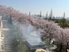 -苏州上方山国家森林公园