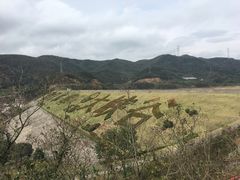 -东海大峡谷
