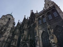 -斯蒂芬主教座堂(Stephansdom)