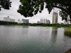 -南宁南湖公园