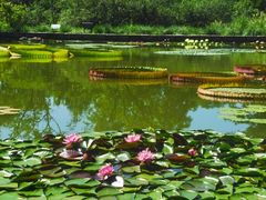 -国家植物园南园