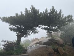 -天津盘山风景名胜区