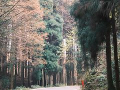 -山王坪喀斯特国家生态公园