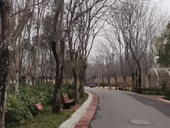 -郑州植物园