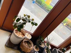 靠窗位-sugarman espresso素饮糖人高新咖啡工厂