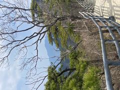 -明堂山风景区