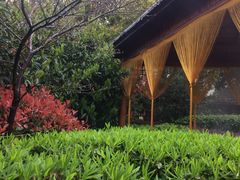 -庐山天沐温泉度假村-停车场