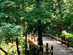 -北京西山国家森林公园