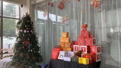 -加帕瑜伽培训学院