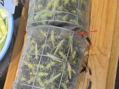 -王婆炒鱼(总店)