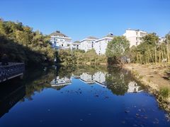 -杭州植物园
