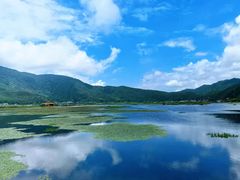 -腾冲北海湿地