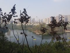 -重庆彩云湖湿地公园