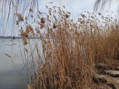 -新珠城鱼坊(龙湖店)