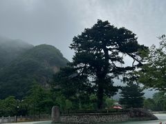 -秦岭终南山世界地质公园翠华山景区