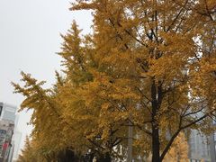 -每碗面馆(新鸿安大厦店)