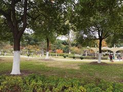 -江南大学(蠡湖校区)
