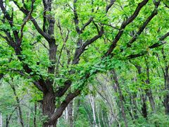-白草畔自然风景区