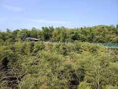 -陶祖圣境风景区