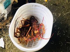 -黄沙水产交易市场