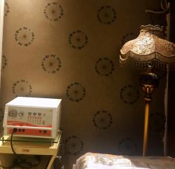 包房-成都伊贝丝美容美胸SPA会所