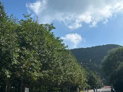 -棒棰岛宾馆景区