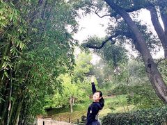 -汉庭顿图书馆