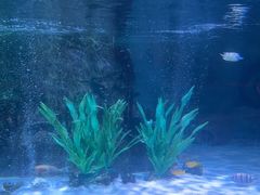 -沈阳海洋探索中心