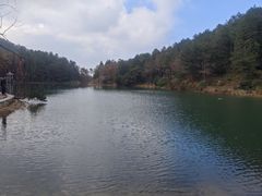-四明山国家森林公园