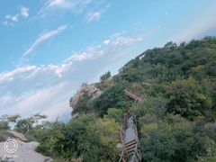 -大岭沟猕猴桃谷风景区