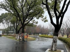 -昆山城市生态森林公园